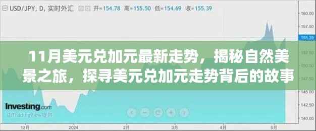 揭秘美元兑加元走势背后的故事,自然美景之旅启程,探寻内心的宁静与平和之旅