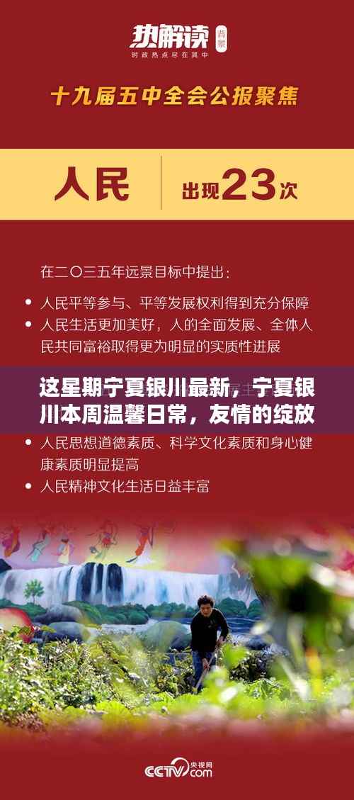 宁夏银川本周温馨日常,友情的绽放与家的温暖时光