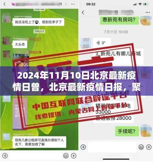 2024年11月10日北京疫情日报,动态更新与防控要点全解析