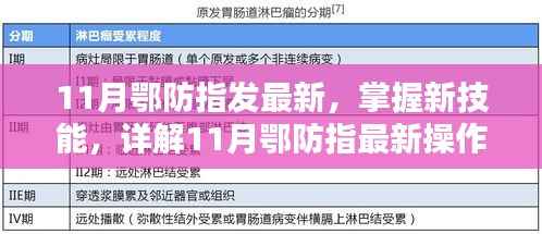 11月鄂防指最新操作流程步骤指南,掌握新技能的详解