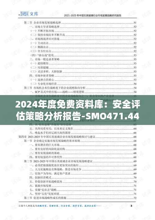 2024年度免费资料库:安全评估策略分析报告-SMO471.44版