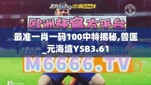 最准一肖一码100中特揭秘,兽医_元海境YSB3.61