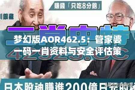 梦幻版AOR462.5:管家婆一码一肖资料与安全评估策略