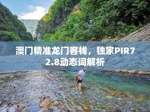 澳门精准龙门客栈,独家PIR72.8动态词解析