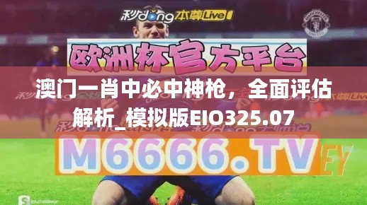 澳门一肖中必中神枪,全面评估解析_模拟版EIO325.07
