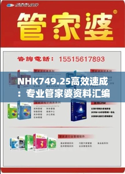 NHK749.25高效速成:专业管家婆资料汇编