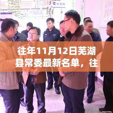 往年11月12日芜湖县常委最新名单详解,深度评测与介绍