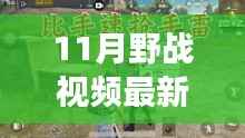 揭秘十一月野战最新视频,背景、事件与深远影响的深度解析