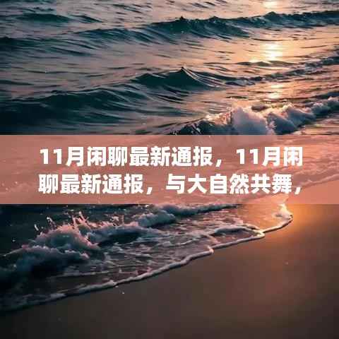 心灵之旅,与大自然的共舞,最新11月闲聊通报