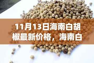 海南白胡椒最新价格揭秘,探寻背后的故事与影响力(11月13日)