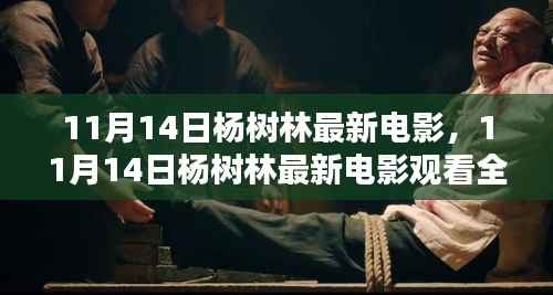 杨树林最新电影观看指南,轻松观影全攻略