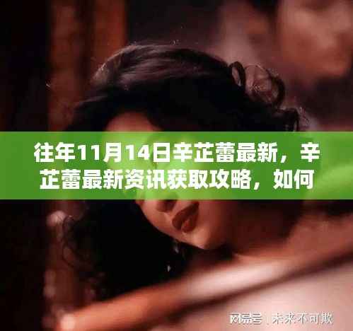 掌握往年11月14日辛芷蕾最新动态,资讯获取攻略