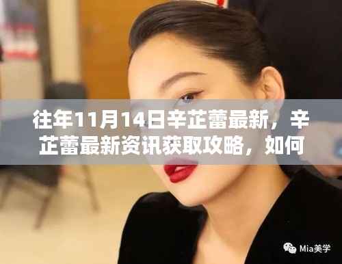 掌握往年11月14日辛芷蕾最新动态,资讯获取攻略