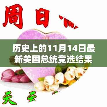 历史上的11月14日美国总统竞选结果深度解析与回顾