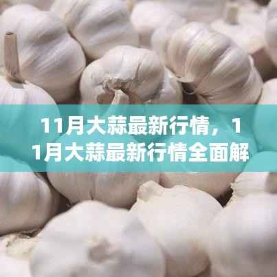 在线留言 第195页