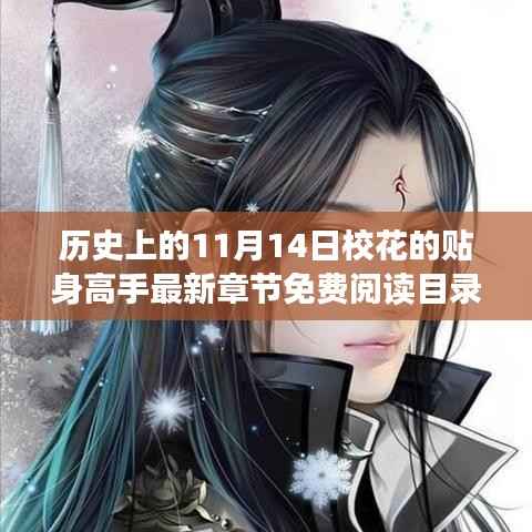 历史上的11月14日,校花贴身高手最新章节免费阅读日