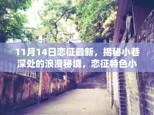 揭秘小巷深处的浪漫秘境,恋征特色小店的最新篇章(11月14日更新)