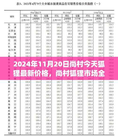 2024年11月20日尚村今天狐狸最新价格,尚村狐狸市场全新升级,科技赋能,探索未来狐狸价格新纪元