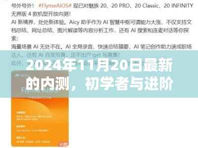 初学者与进阶用户通用,最新内测任务完成指南(2024年11月20日版)