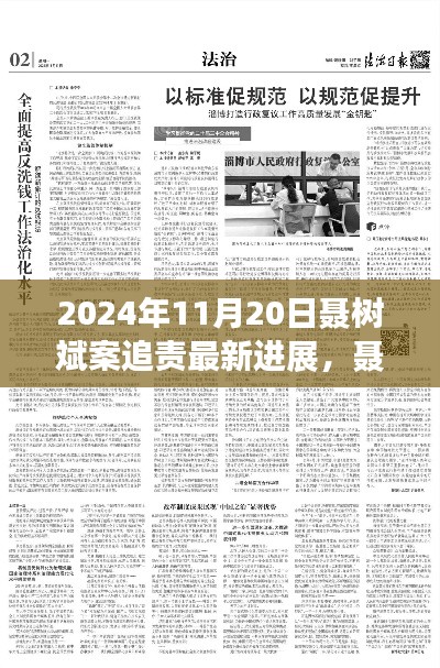 聂树斌案追责最新进展深度解析,2024年11月20日追责进展及评测