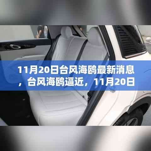 台风海鸥逼近,最新动态及应对指南(11月20日更新)
