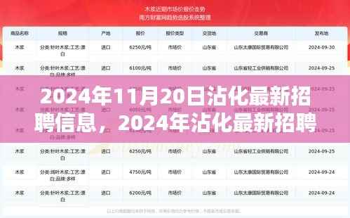 2024年沾化最新招聘信息全攻略,获取与应聘指南(初学者与进阶用户必备)