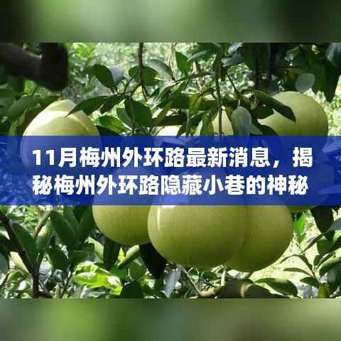 揭秘梅州外环路隐藏小巷的神秘小店,味蕾与环境的独特相遇,最新消息一览