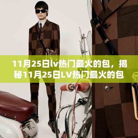 揭秘LV最火包款,引领时尚潮流的风向标(11月25日热门推荐)