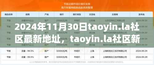 2024年11月30日taoyin.la社区新址展望,机遇与挑战并存