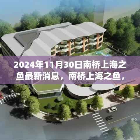 南桥上海之鱼,温馨日常与深厚友情的见证(最新消息,2024年11月30日)