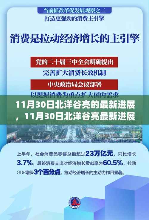 11月30日北洋谷亮最新进展报告,揭秘最新动态与成果展示