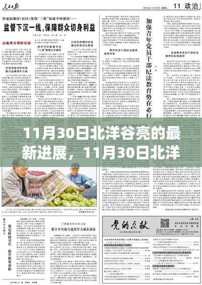 11月30日北洋谷亮最新进展报告,揭秘最新动态与成果展示