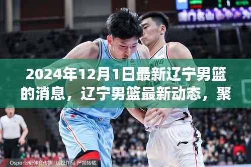 2024年12月1日辽宁男篮最新动态与赛场风云聚焦