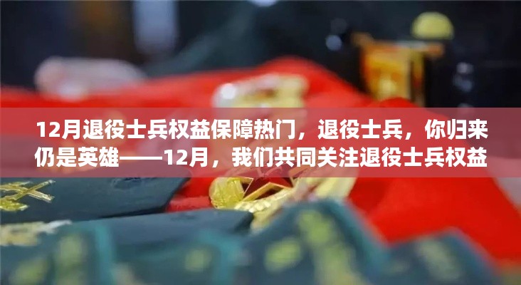 关注退役士兵权益保障,归来仍是英雄,共同前行之路在十二月揭晓