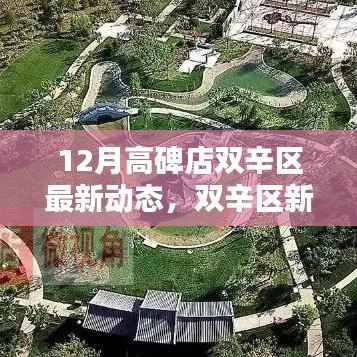高碑店双辛区十二月最新动态深度评测,开启新篇章的区域发展动态分析