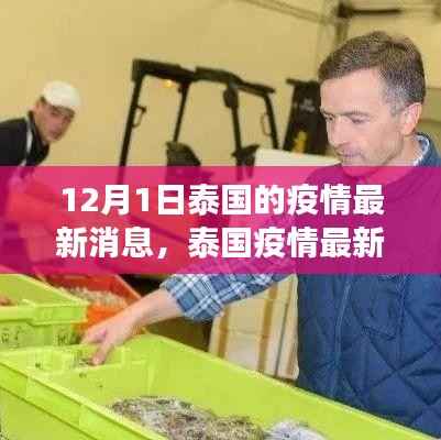 泰国疫情最新动态与深度观察,12月1日的最新消息与影响