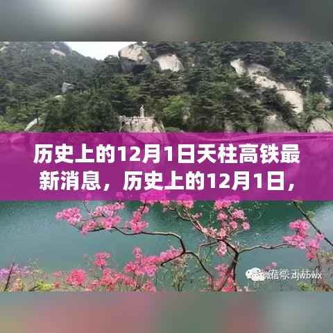 天柱高铁最新进展报道,历史上的12月1日最新消息速递