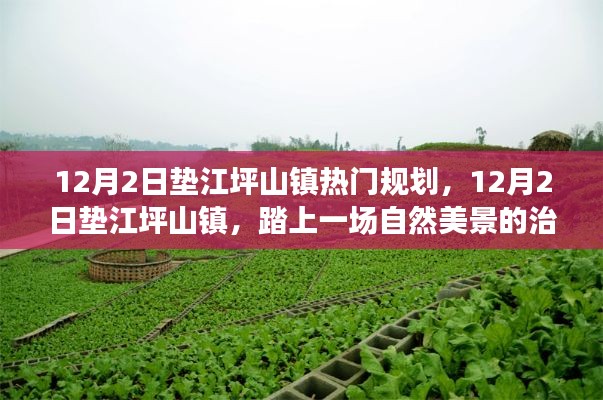 垫江坪山镇热门规划,自然美景的治愈之旅启动日倒计时