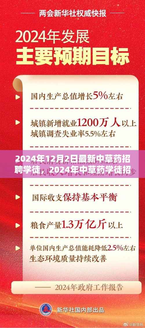 2024年中草药学徒招聘趋势与个人选择深度探讨