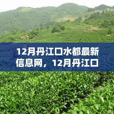 12月丹江口水都最新热点资讯与实用信息一览