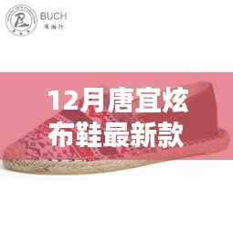 唐宜炫布鞋最新科技风尚款,融合传统与智能,引领时尚新潮流的价格揭秘