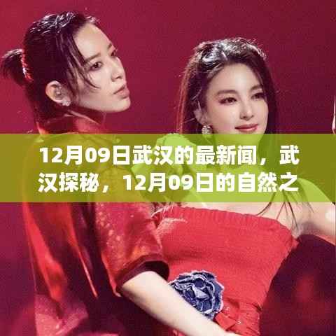 武汉探秘,寻找内心的宁静与平和——武汉最新新闻与自然之旅