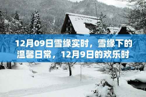 雪缘下的温馨日常,12月9日的欢乐时光