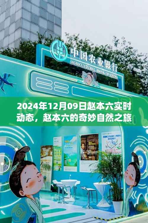 赵本六的奇妙自然之旅,寻找内心平静的美丽秘境(实时更新)