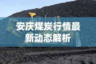 安庆煤炭行情最新动态解析