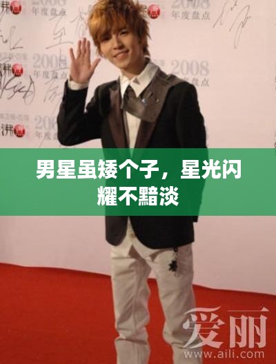 男星虽矮个子,星光闪耀不黯淡