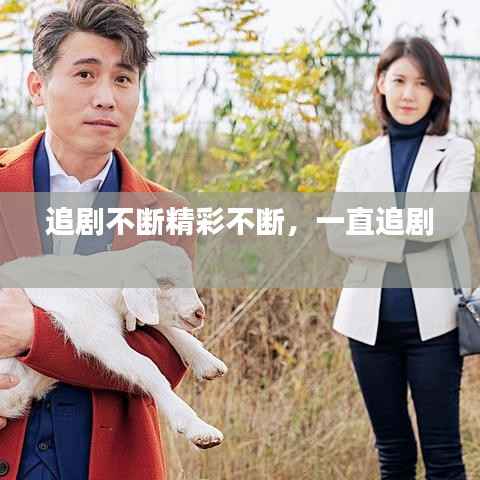 追剧不断精彩不断，一直追剧 