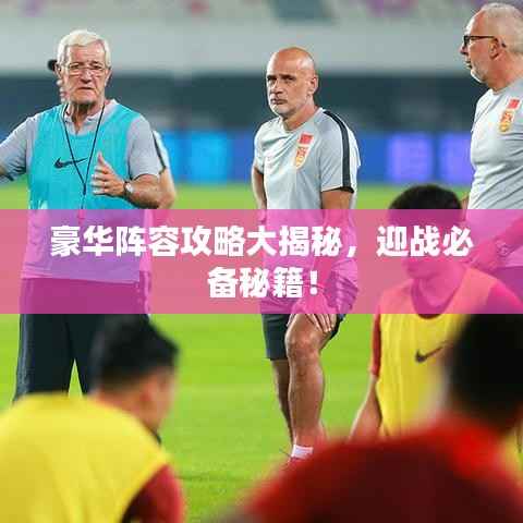 豪华阵容攻略大揭秘,迎战必备秘籍!