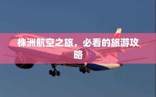 不求甚解 第3页