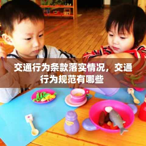 交通行为条款落实情况,交通行为规范有哪些